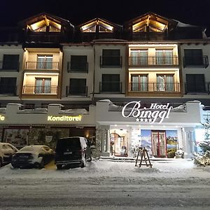 Hotel Binggl